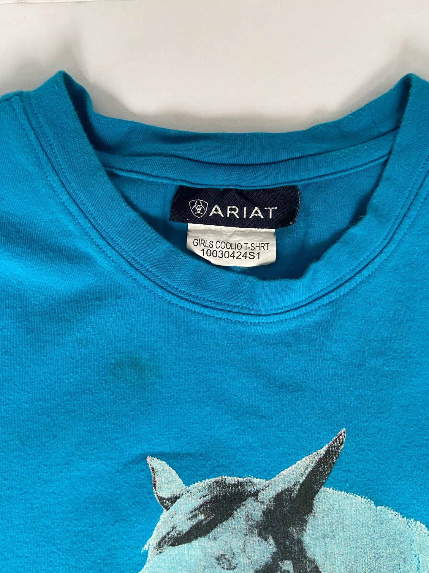 Ariat Short Sleeve Shirt - Blue - Youth Large
