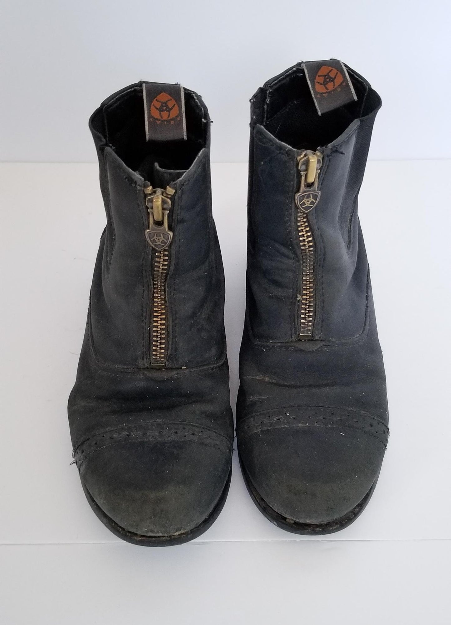 Ariat Paddock Boots - Black - Youth 1
