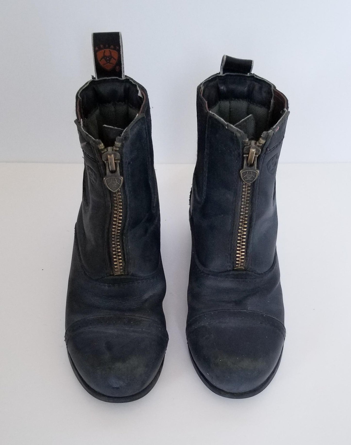Ariat Paddock Boots - Black - Youth 11