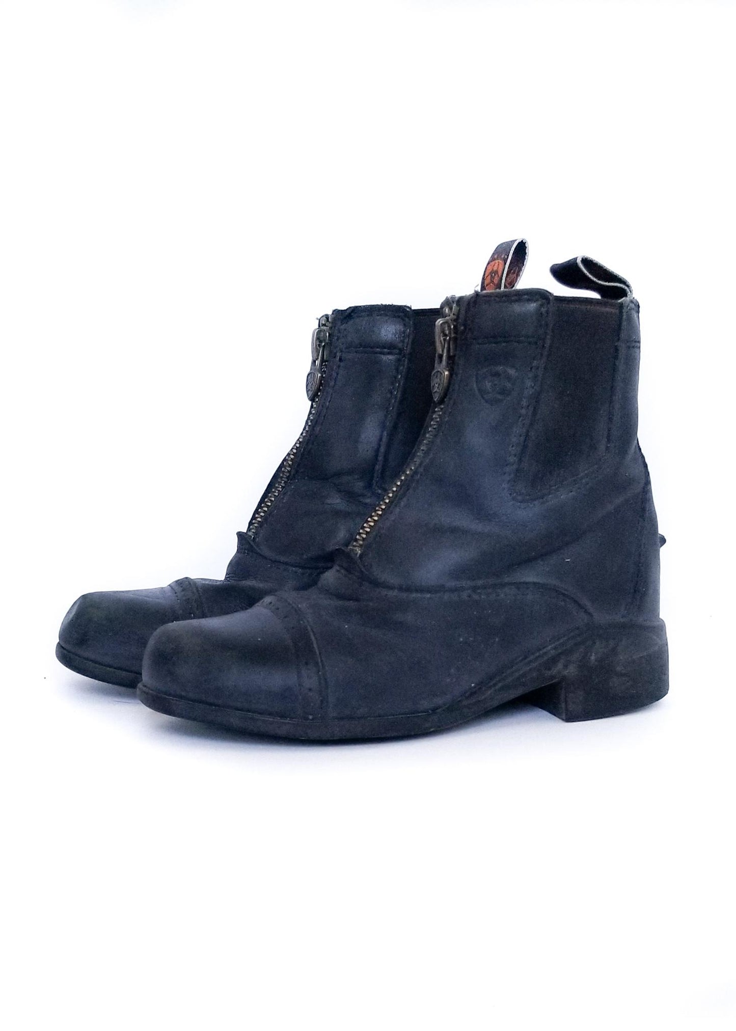 Ariat Paddock Boots - Black - Youth 11