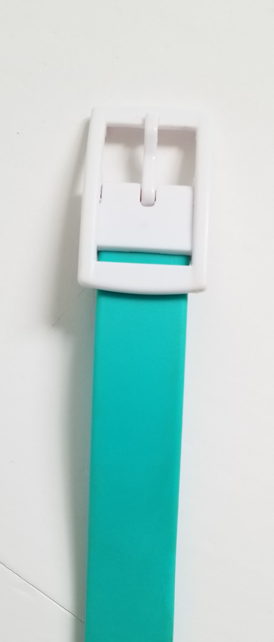 C4 Belt with Buckle - Teal - One Size