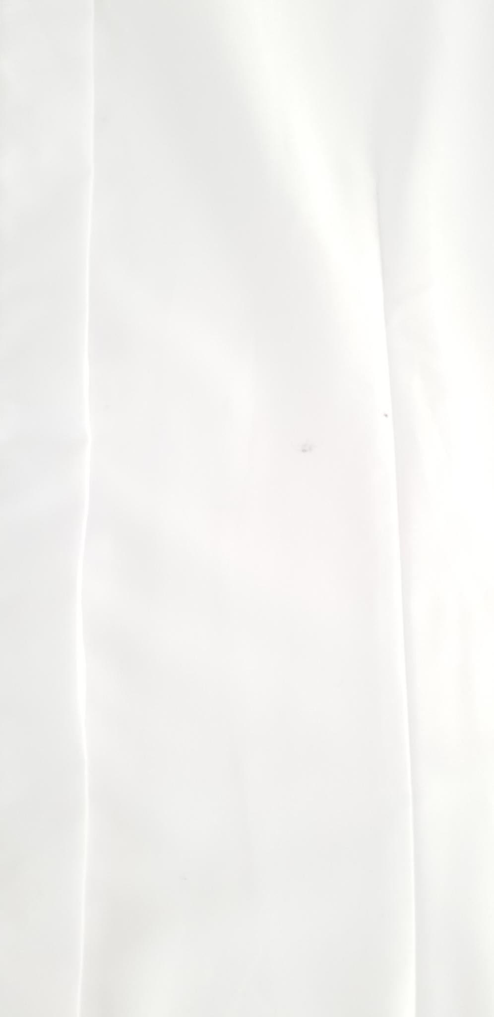 Marigold Snap Collar Show Shirt - White - Women's 12