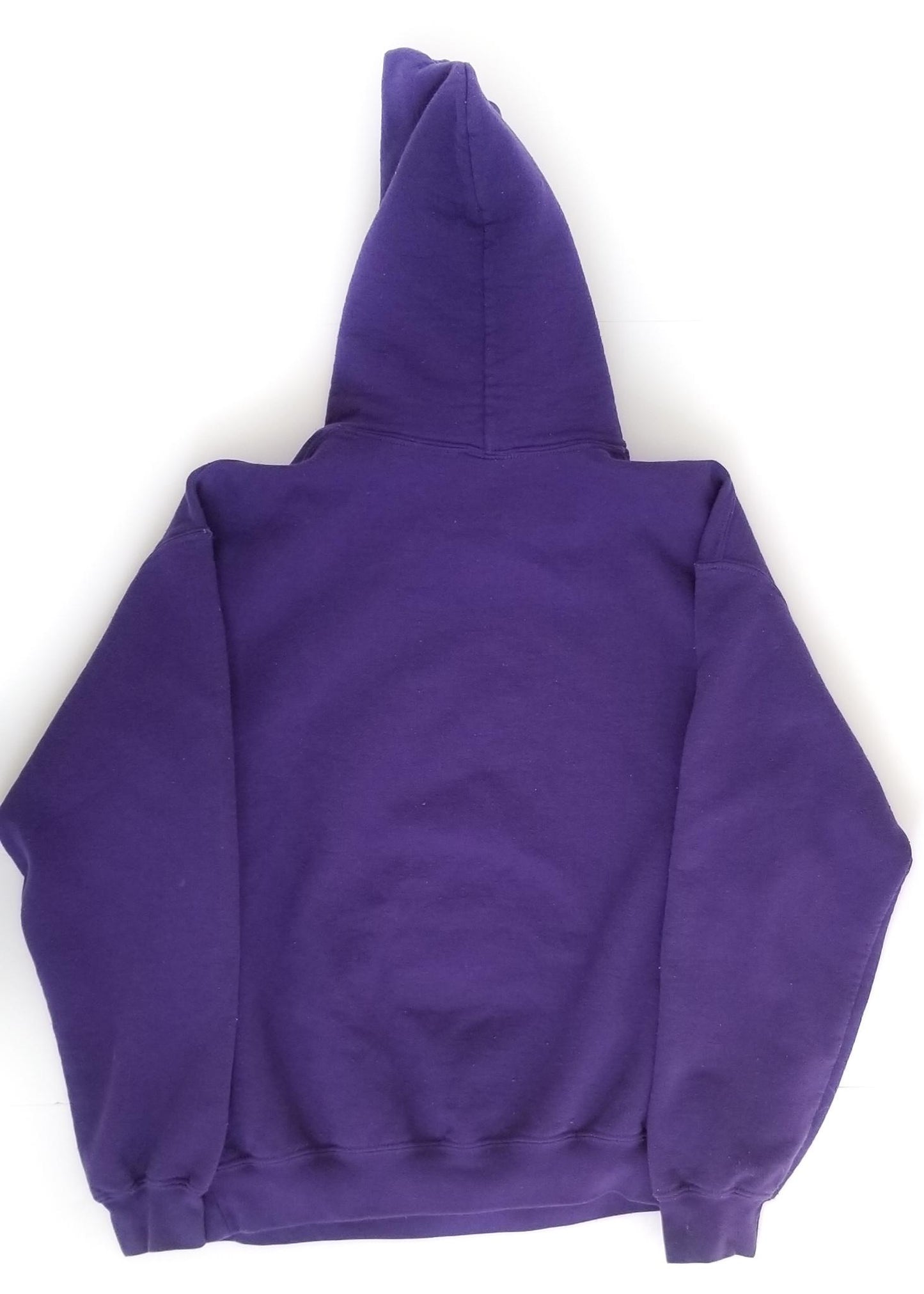 Stirrups Clothing Hoodie - Purple - Medium