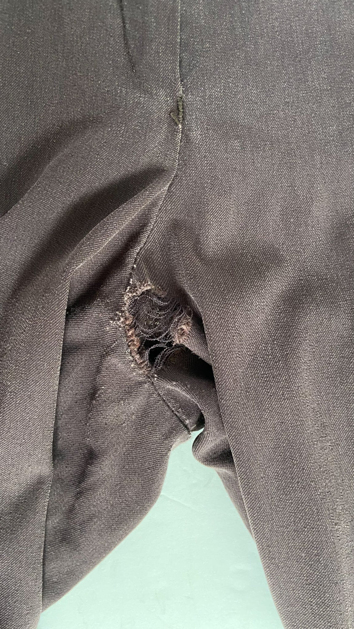 Tailored Sportsman Trophy Hunter Breeches - Boysenberry - Women's 24R (*Needs Repairs*)