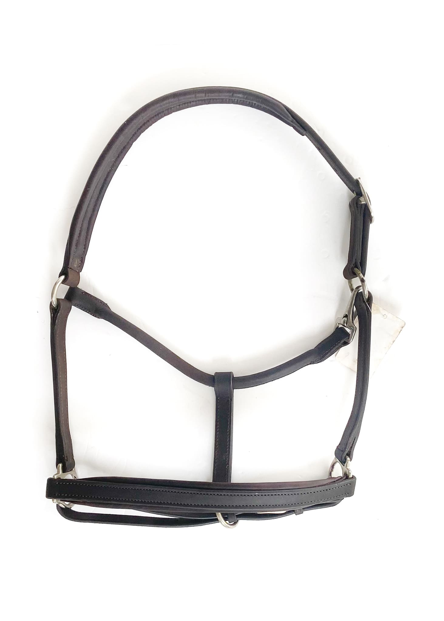 Padded leather halter in chocolate colour.